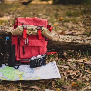 Wilderness Strategy Kit